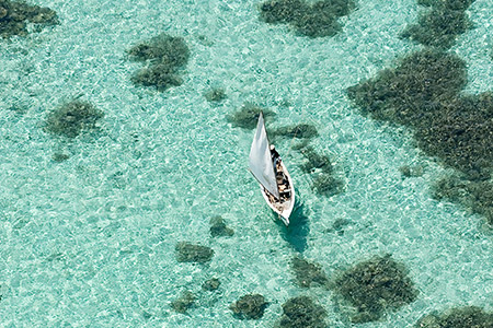 Image - Flitterwochen im Paradies