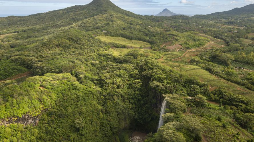 Die Hochebene des Black River National Parks ist voll mit saftig grüner Vegetation