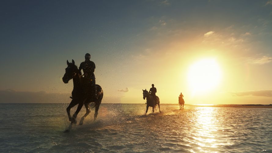 Reiten