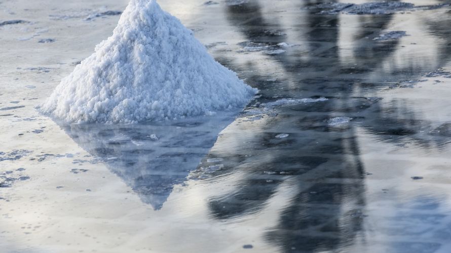Meersalz oder auch Fleur de Sel aus den Salzsalinen in Tamarin